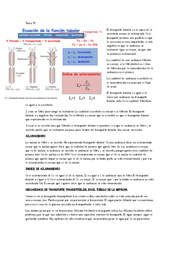 Miniatura del documento apuntes-clase-tema-1.pdf