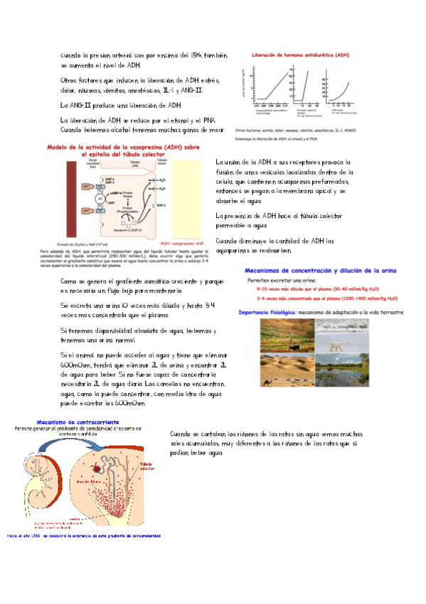 Miniatura del documento apuntes-clase-tema-5.pdf
