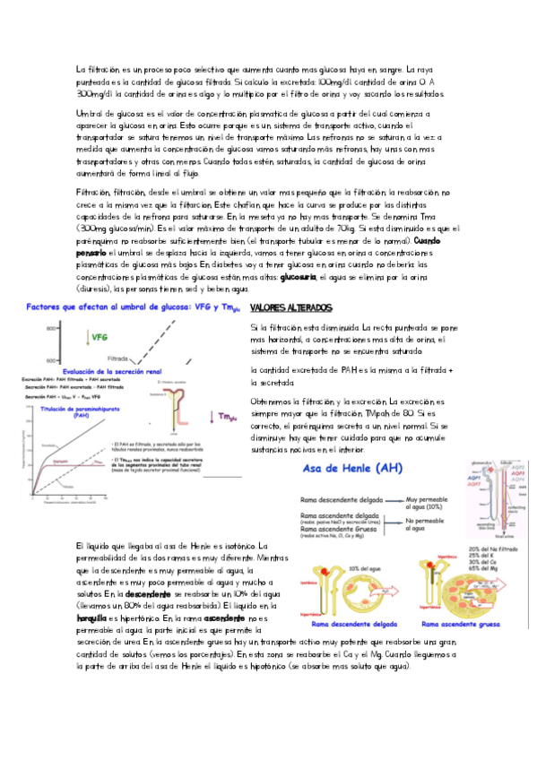 Miniatura del documento apuntes-clase-tema-9.pdf