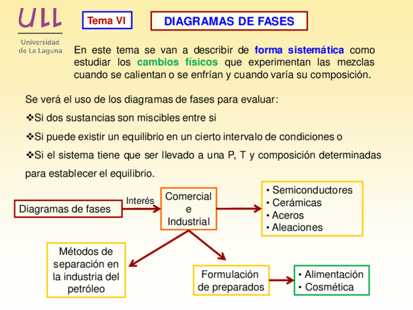 Miniatura del documento TemaVII.pdf