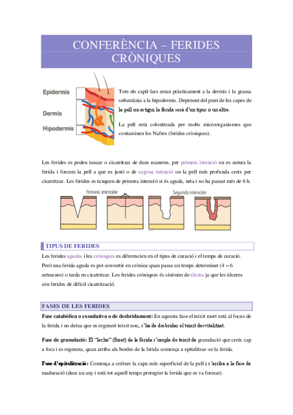 Miniatura del documento CONFERENCIA-FERIDES-CUTANIES.pdf