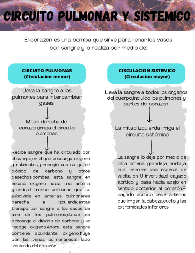 Miniatura del documento CARBOHIDRATOS.pdf