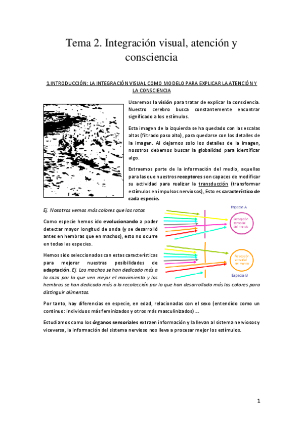 Miniatura del documento Tema-2-Pilar-Herreros.pdf