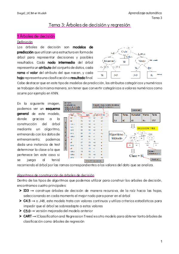 Miniatura del documento Tema-3-Arboles-de-decision-y-reglas.pdf