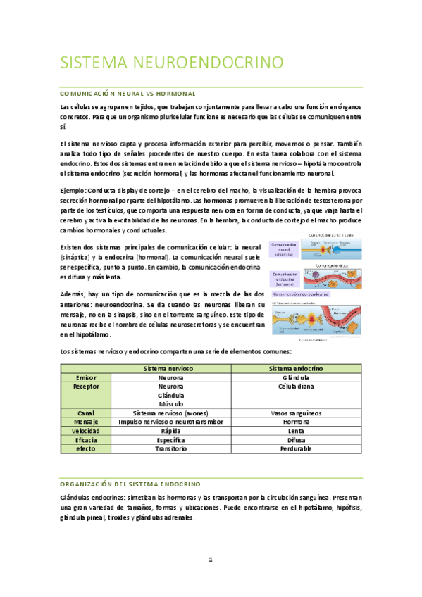 Miniatura del documento 1.-Sistema-neuroendocrino.pdf