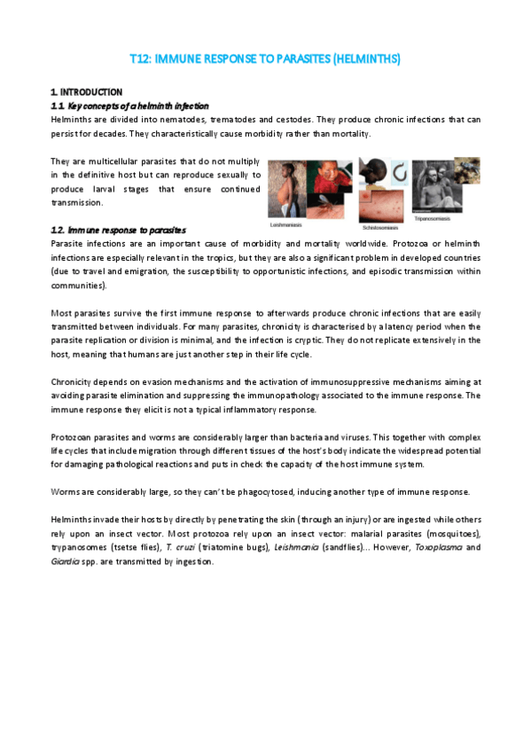 Miniatura del documento T12-IMI.pdf