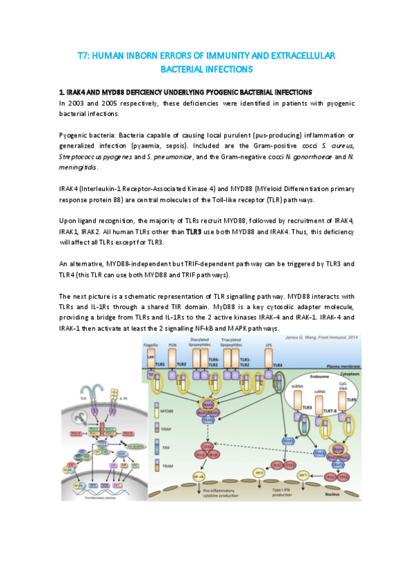 Miniatura del documento T7-IMI.pdf