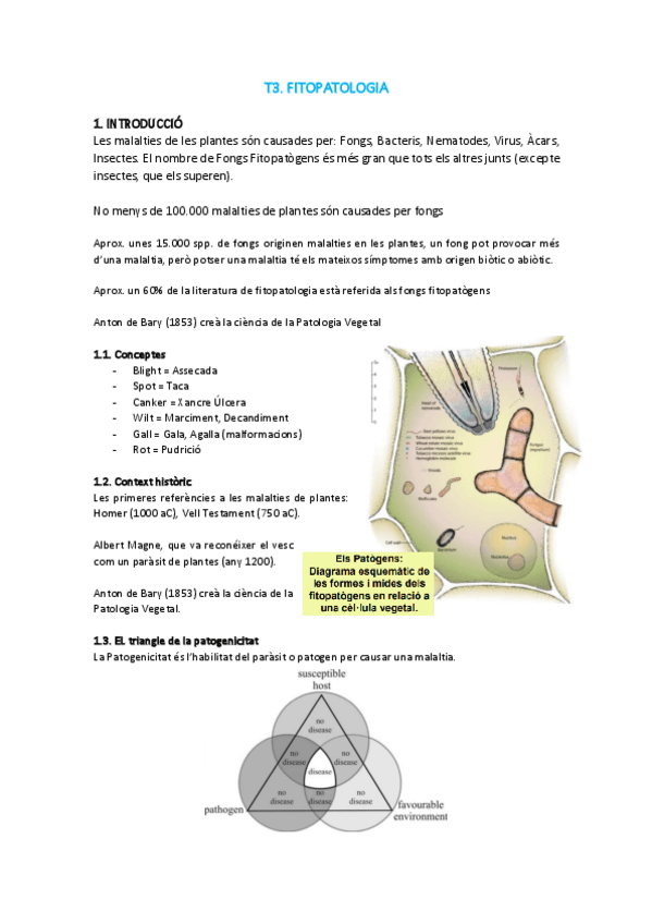 Miniatura del documento T3-MAP.pdf