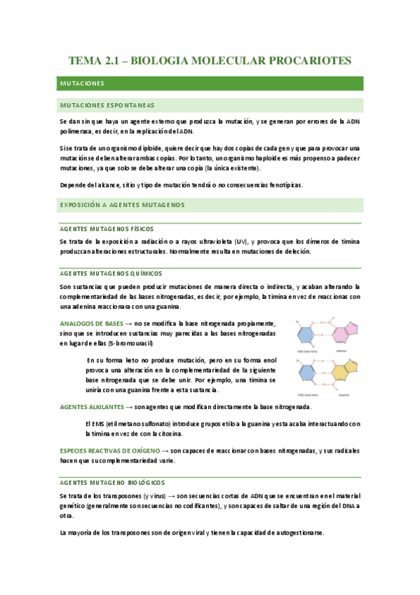 Miniatura del documento Biologia-molecular-procariotas.pdf