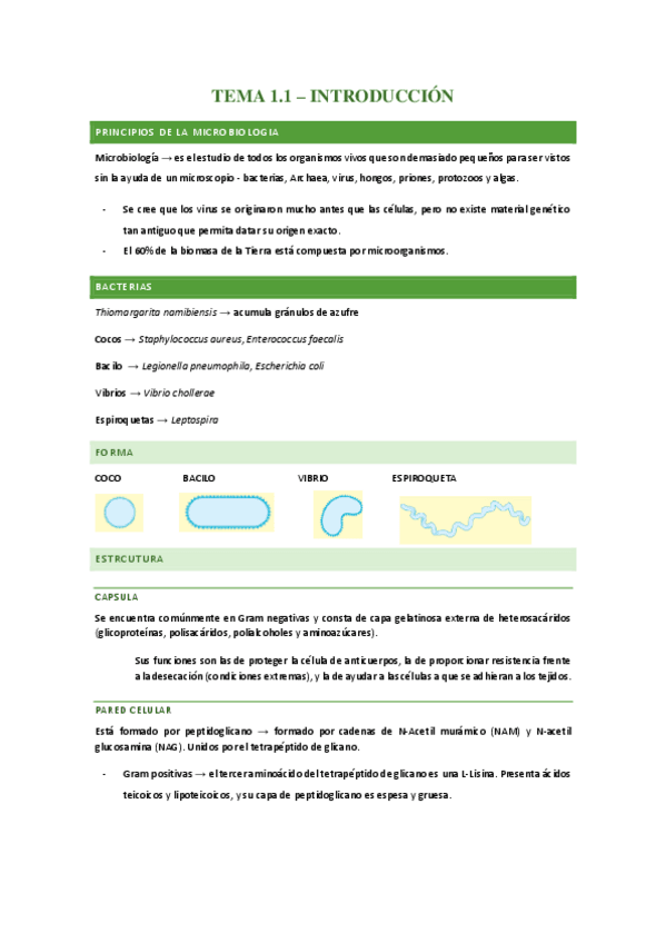 Miniatura del documento Introduccion.pdf