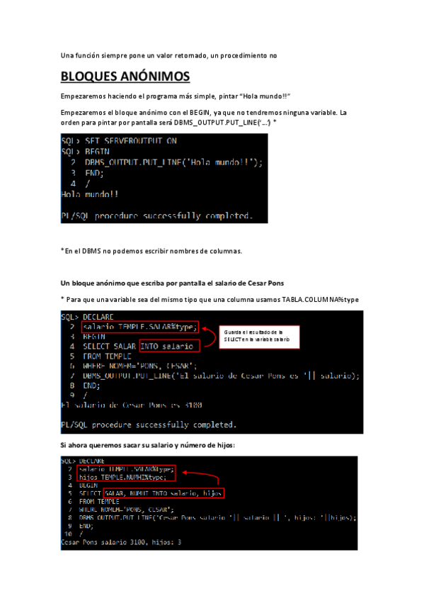 Miniatura del documento Apuntes-PLSQL.pdf