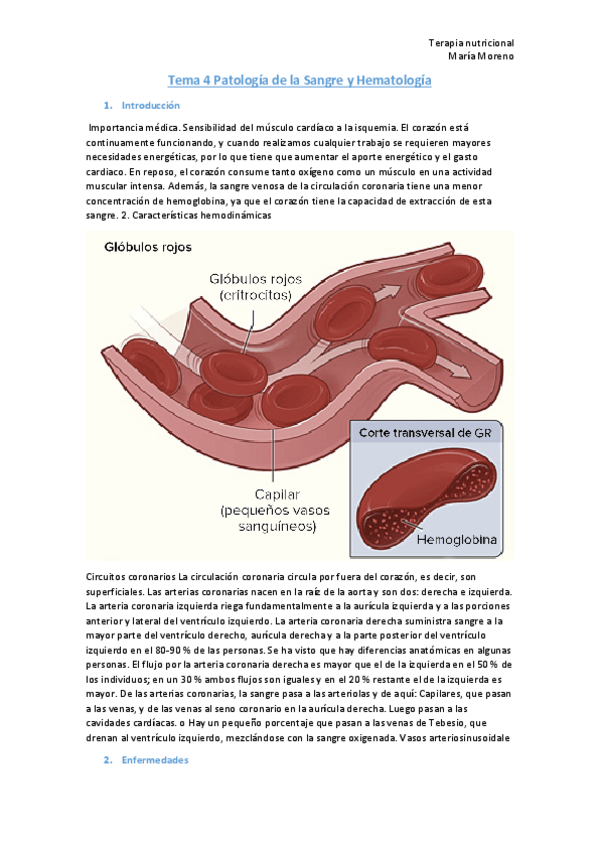 Miniatura del documento Tema-4-Patologia-de-la-Sangre-y-Hematologia.pdf