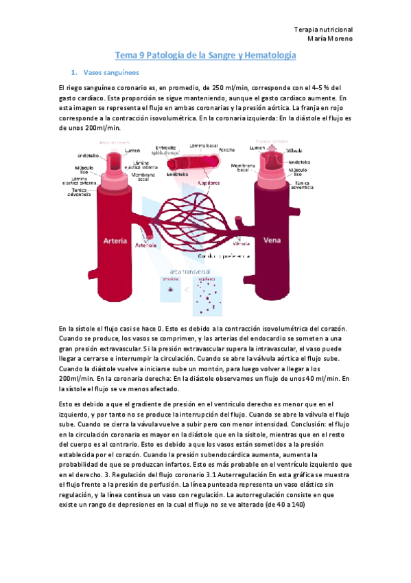 Miniatura del documento Tema-9-Patologia-de-la-Sangre-y-Hematologia.pdf