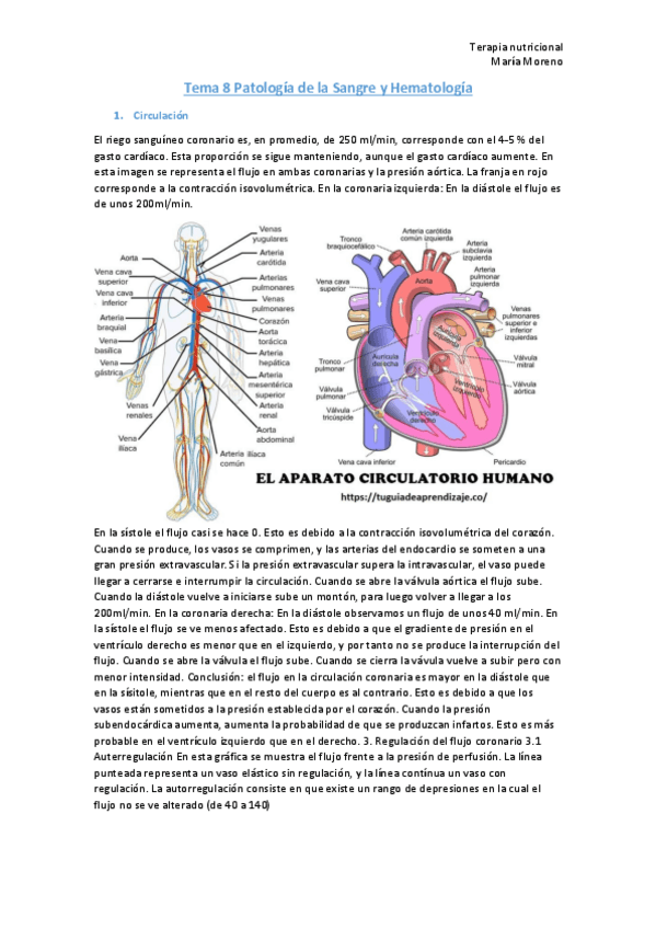 Miniatura del documento Tema-8-Patologia-de-la-Sangre-y-Hematologia.pdf