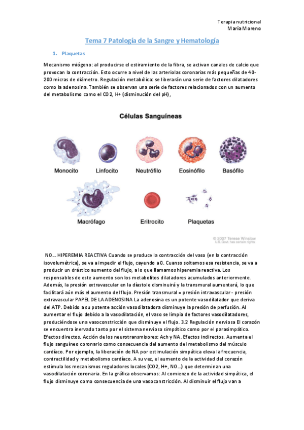 Miniatura del documento Tema-7-Patologia-de-la-Sangre-y-Hematologia.pdf