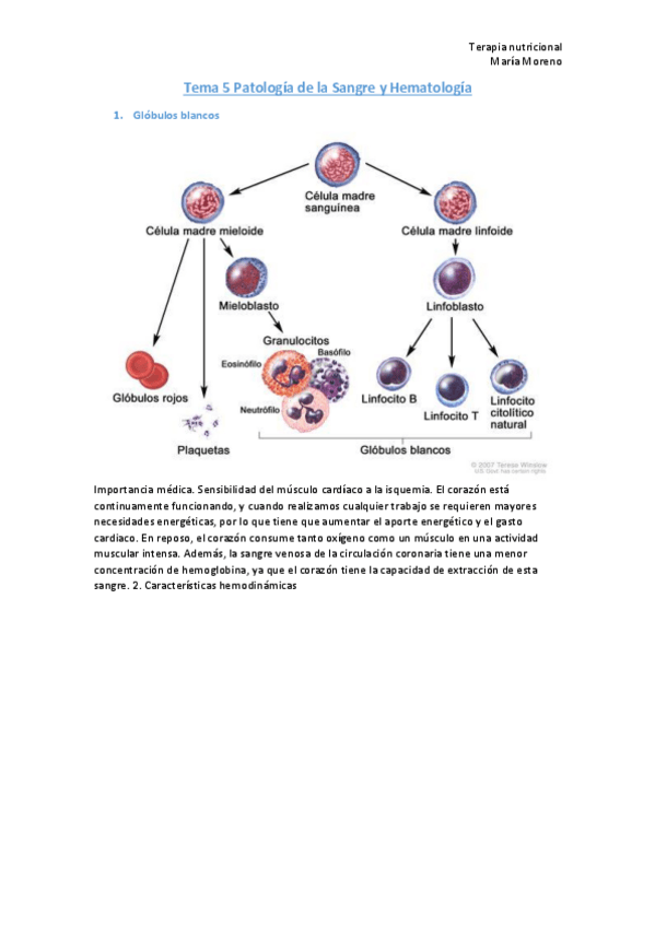 Miniatura del documento Tema-5-Patologia-de-la-Sangre-y-Hematologia.pdf