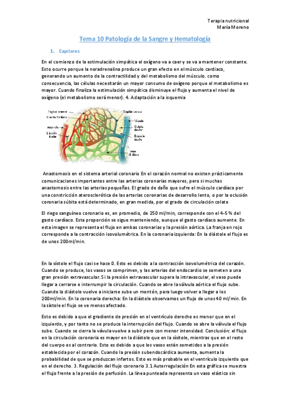 Miniatura del documento Tema-10-Patologia-de-la-Sangre-y-Hematologia.pdf