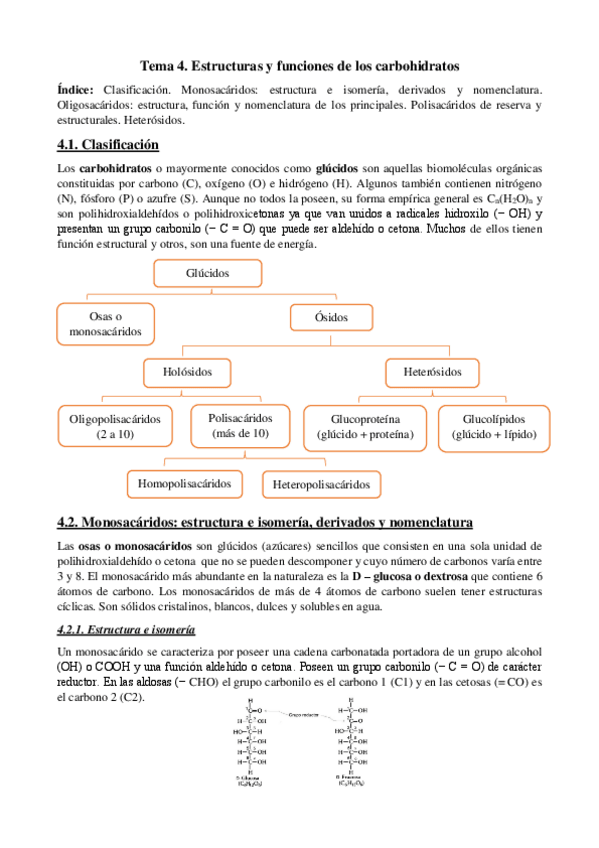 Miniatura del documento Tema-4-Estruc-y-funci-carbohi.pdf