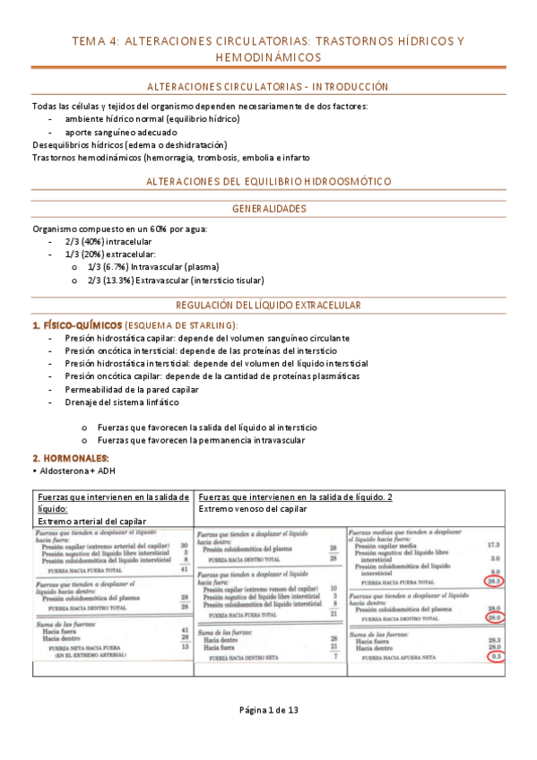 Miniatura del documento Tema-4.pdf