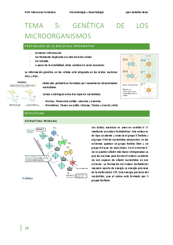 Miniatura del documento Microbiologia-Tema-5-partes-1-y-2.pdf