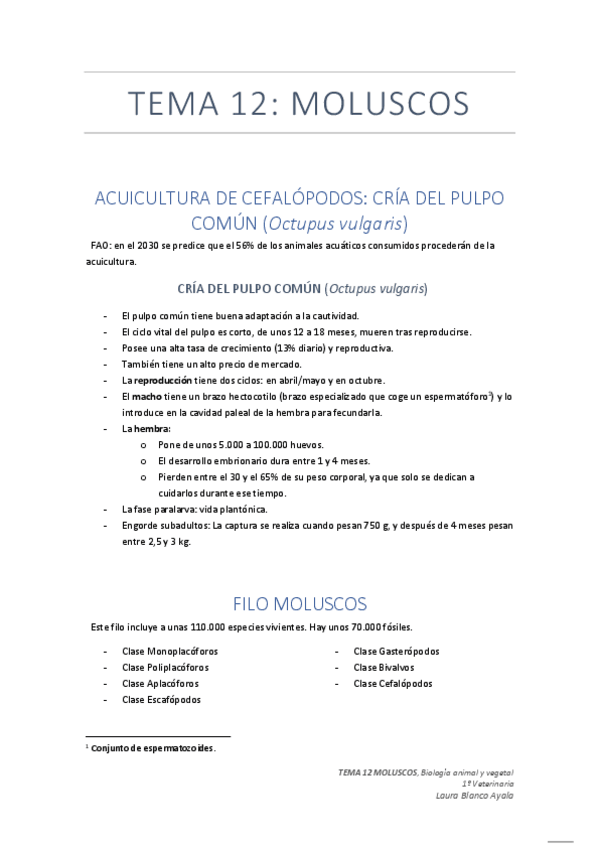 Miniatura del documento TEMA 12 MOLUSCOS.pdf