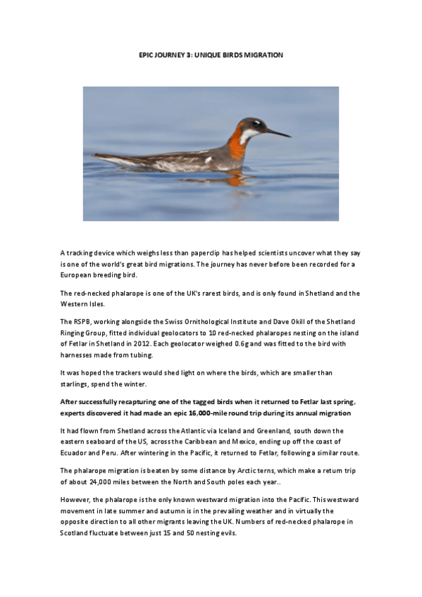 Miniatura del documento A-tracking-device-which-weighs-less-than-paperclip-has-helped-scientists-uncover-what-they-say-is-one-of-the-world.pdf