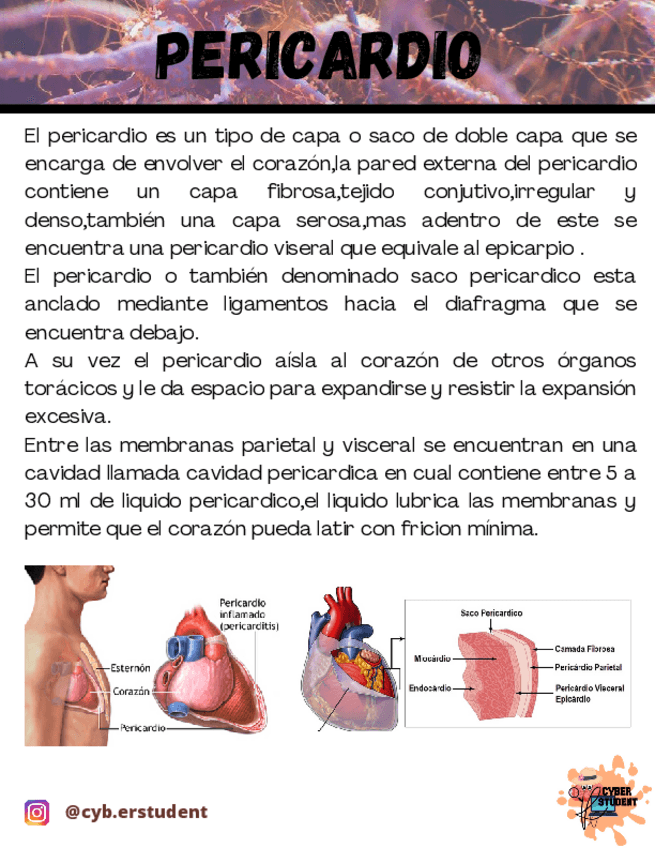 Miniatura del documento PERICARDIO.pdf