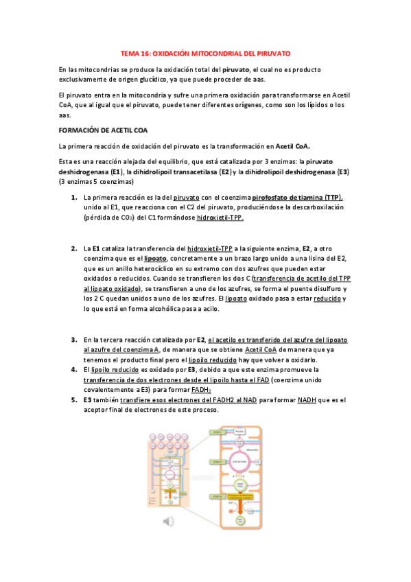 Miniatura del documento TEMA-16-FUNDAMENTOS-APUNTES.pdf