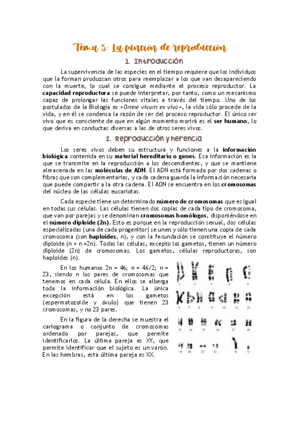 Miniatura del documento TEMA-5-CEII.pdf