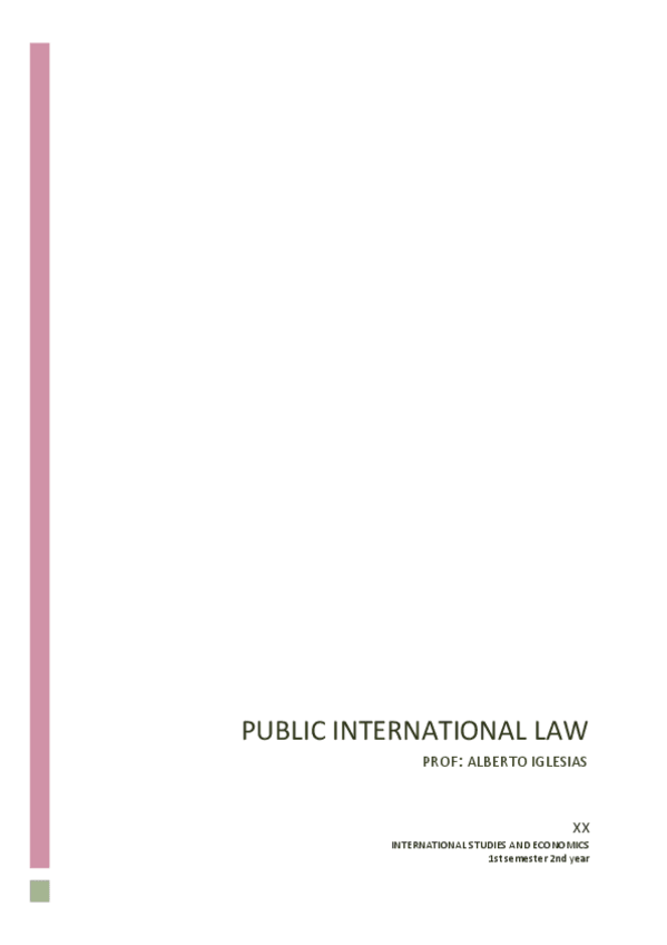 Miniatura del documento public-international-law-notes.pdf