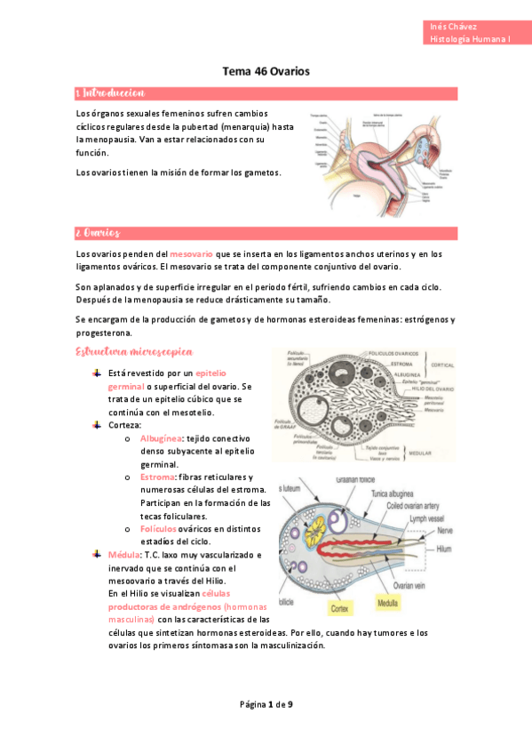 Miniatura del documento wuolah-free-Tema-46-Ovariosgulagfree.pdf