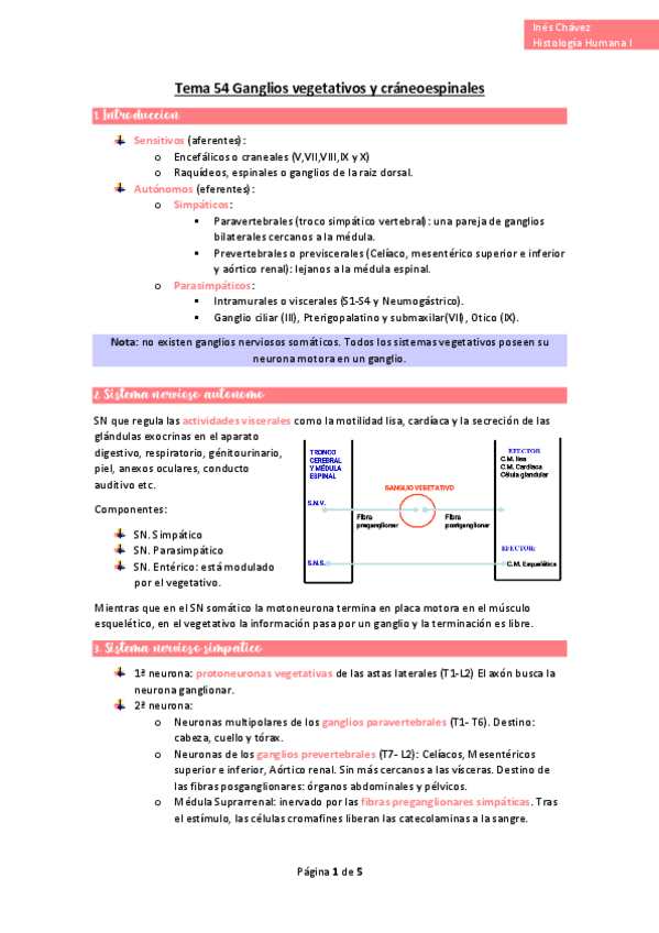 Miniatura del documento wuolah-free-Tema-54-Ganglios-vegetativos-y-craneoespinalesgulagfree.pdf