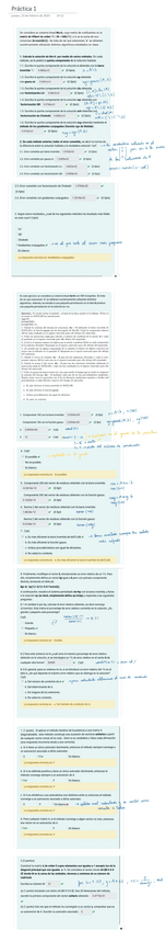 Miniatura del documento Practica-1-resuelta-y-explicada.pdf
