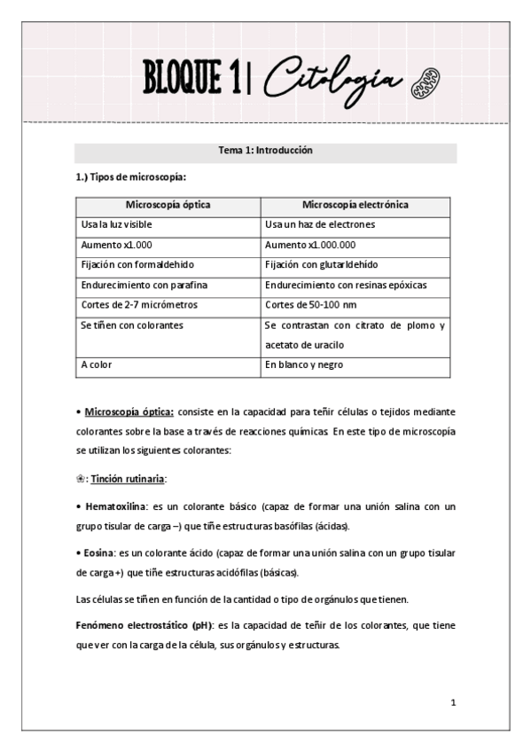 Miniatura del documento Citologia-e-Histologia-Tema-1-34.pdf