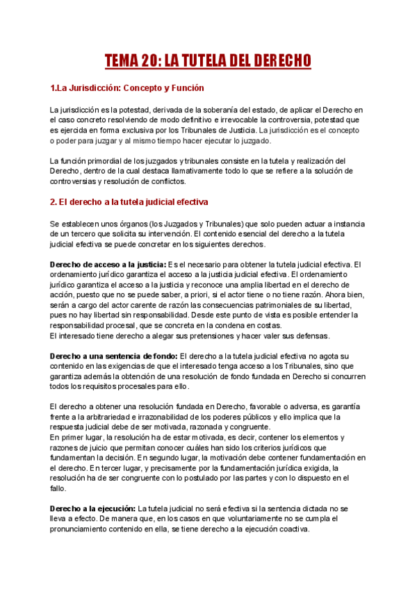 Miniatura del documento TEMA-20-LA-TUTELA-DEL-DERECHO.pdf