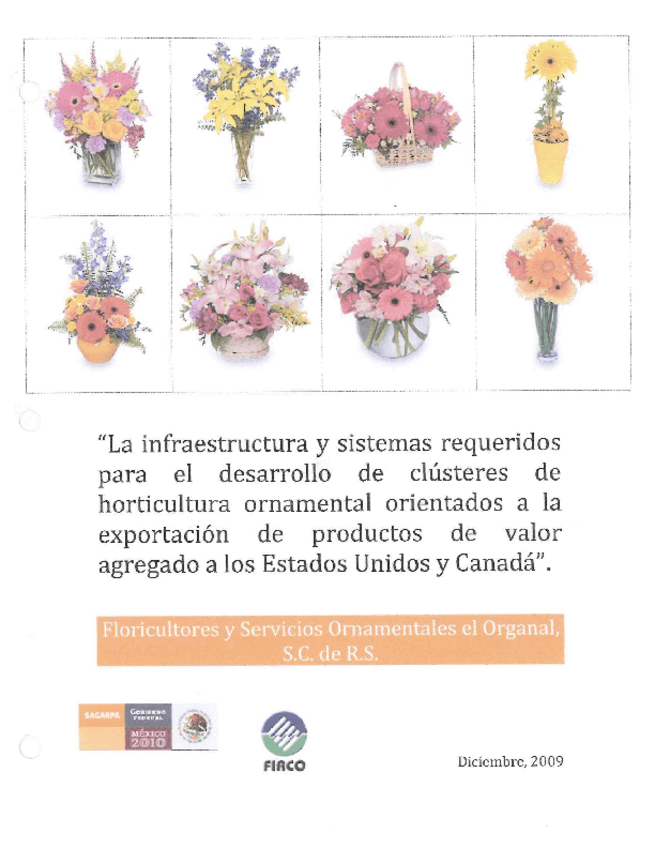 Miniatura del documento ORNAMENTAL.pdf
