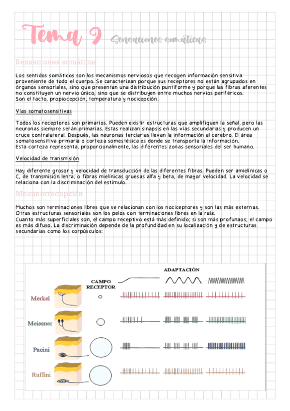 Miniatura del documento Tema-9-Sensaciones-somaticas.pdf