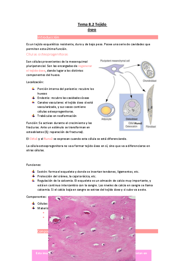 Miniatura del documento Tema-8.pdf