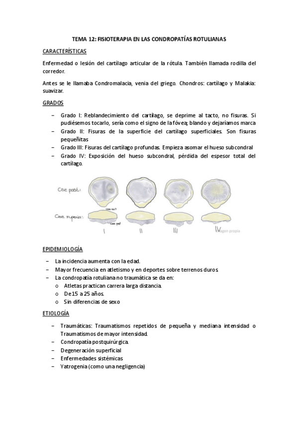 Miniatura del documento T12-CONDROPATIA.pdf