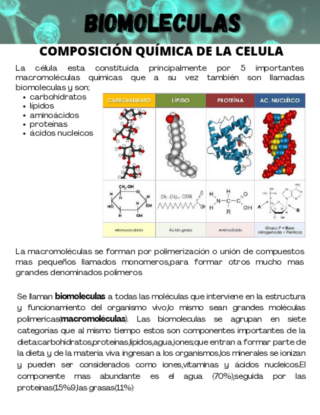 Miniatura del documento BIOMOLECULAS.pdf