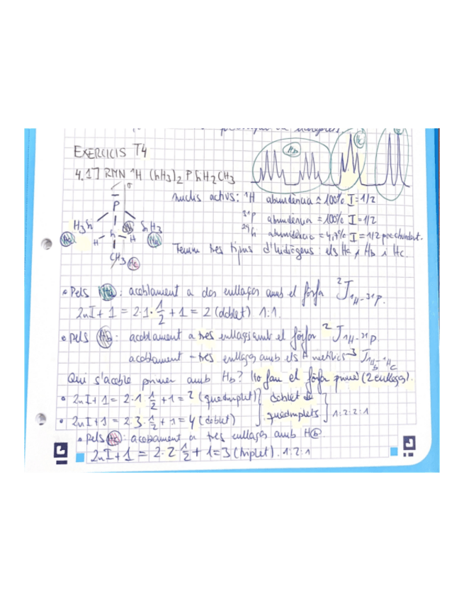 Miniatura del documento Exercicis-resolts-T4-RMN.pdf