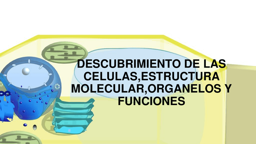 Miniatura del documento DESCUBRIMIENTO-DE-LAS-CELULASESTRUCTURA-MOLECULARORGANELOS-Y-FUNCIONES.pdf