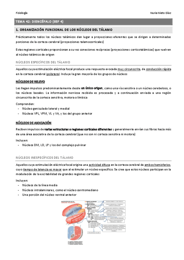 Miniatura del documento TEMA 42 - Diencefalo (SEF 4).pdf