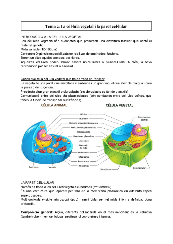 Miniatura del documento Tema-2-La-cellula-vegetal-i-la-paret-cellular.pdf