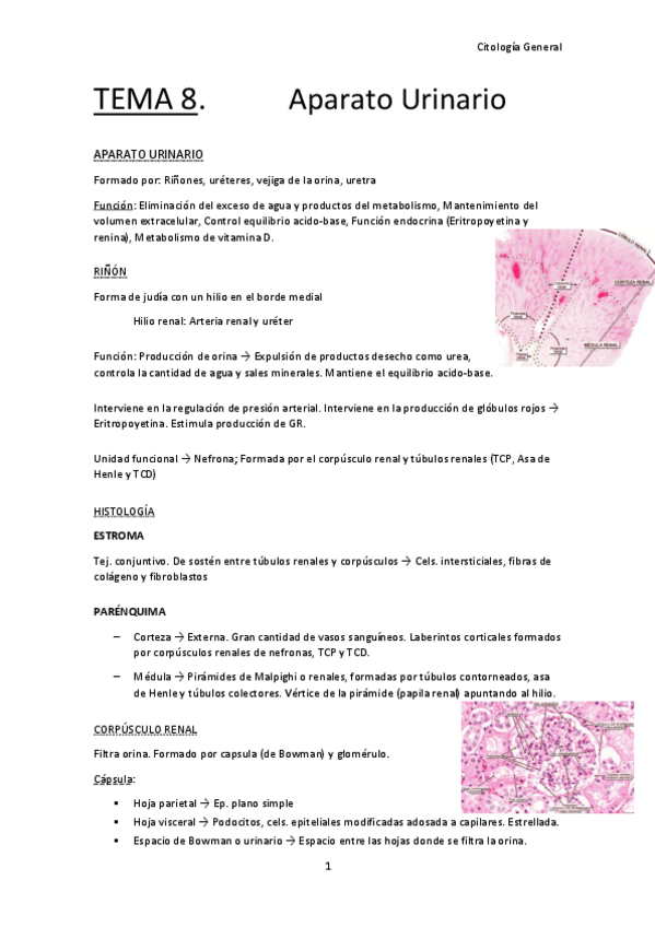 Miniatura del documento TEMA-8-CG.pdf