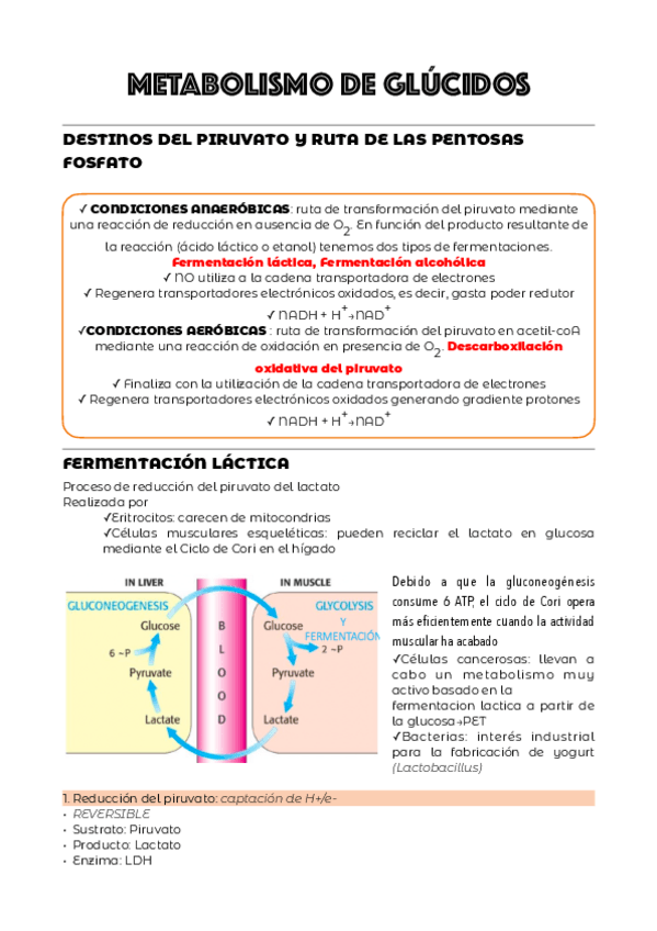 Miniatura del documento TEMA-4.pdf