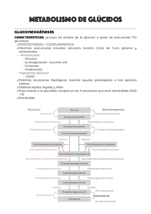Miniatura del documento TEMA-3.pdf