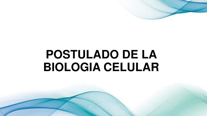 Miniatura del documento POSTULADO-DE-LA-BIOLOGIA-CELULAR.pdf