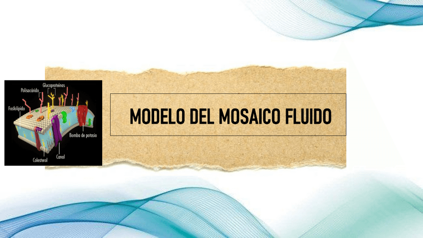 Miniatura del documento MODELO-DEL-MOSAICO-FLUIDO.pdf