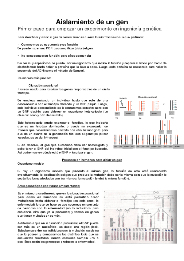 Miniatura del documento Tema 1 ingeniería genética aislamiento gen.pdf